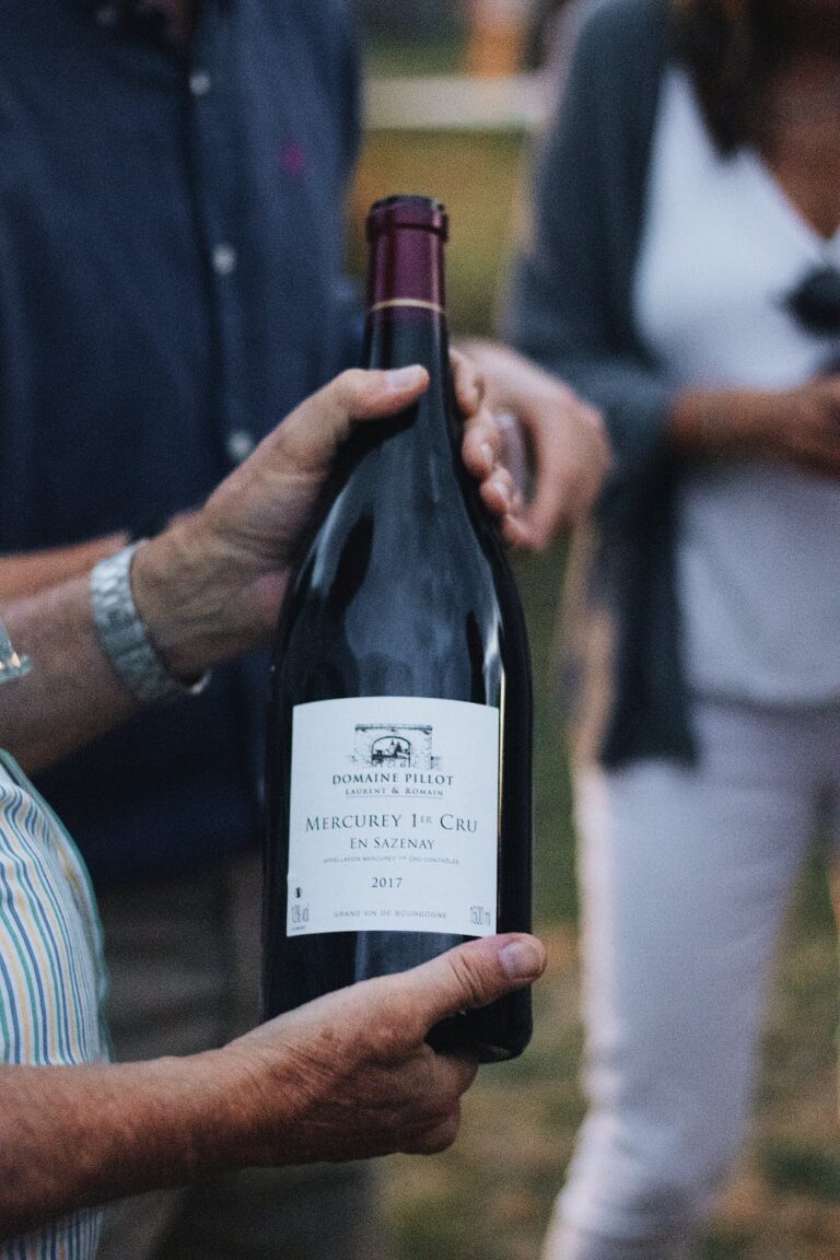 Bourgogne - The grape agency - Agence de communication vin, champagne, bière et spiritueux